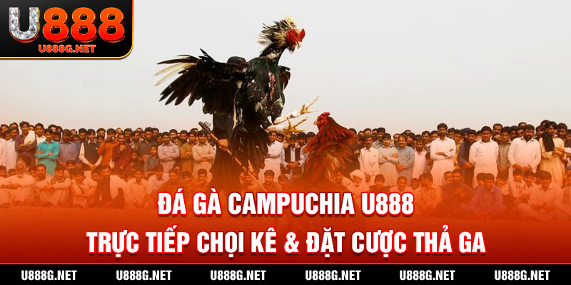 đá gà campuchia